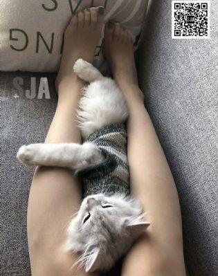 韩国理论妈妈的朋友_普通话在线观看