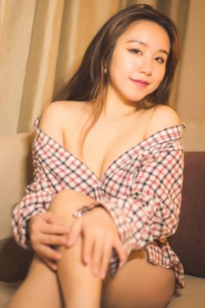 秘密图纸电视剧免费观看_4K神马影院在线