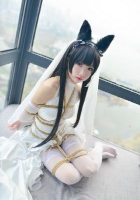 披荆斩棘电视剧免费观看_高清免费观看