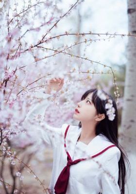《西游记》在线观看免费_DVD神马影院手机在线
