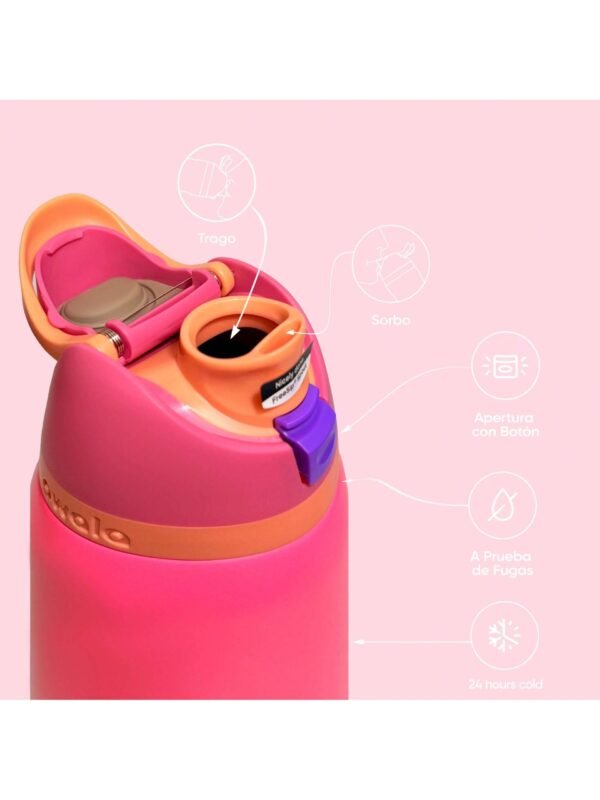 OWALA 32OZ Water Bottle With Straw, Insulated Stainless Steel Tumbler, 24hrs Cold, Lock Lid, for Sports Travel School,Color: Rose red