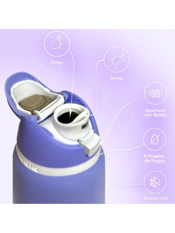 OWALA 32OZ Water Bottle With Straw, Insulated Stainless Steel Tumbler, 24hrs Cold, Lock Lid, for Sports Travel School,Color: Purple