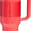STANLEY Quencher ProTour Flip Straw Tumbler with Leakproof Lid | Built-In Straw & Handle | Cupholder Compatible for Travel | Insulated Stainless Steel Cup | BPA-Free