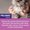 FELIWAY® Classic 30 Day Cat Calming Refill for Pheromone Diffuser, 48ml - Helps Reduce Common Signs of Stress in Cats & Kittens, Enhanced Calming
