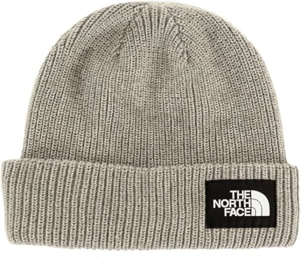 The North Face Unisex-Adult Salty Dog Lined Beanie
