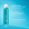 Moroccanoil Perfect Defense Heat Protectant