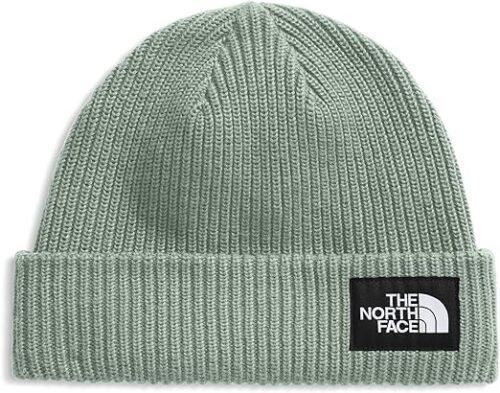 The North Face Unisex-Adult Salty Dog Lined Beanie