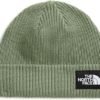 The North Face Unisex-Adult Salty Dog Lined Beanie