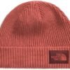 The North Face Unisex-Adult Salty Dog Lined Beanie