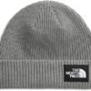 The North Face Unisex-Adult Salty Dog Lined Beanie