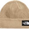 The North Face Unisex-Adult Salty Dog Lined Beanie