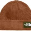 The North Face Unisex-Adult Salty Dog Lined Beanie