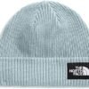 The North Face Unisex-Adult Salty Dog Lined Beanie
