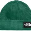 The North Face Unisex-Adult Salty Dog Lined Beanie