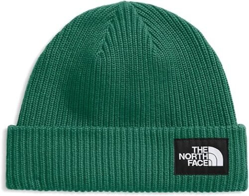 The North Face Unisex-Adult Salty Dog Lined Beanie