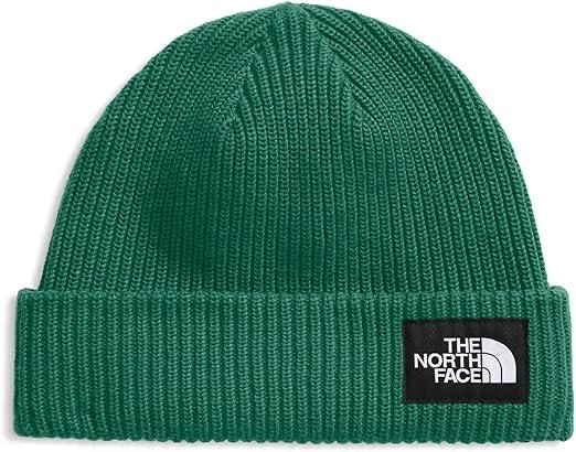 The North Face Unisex-Adult Salty Dog Lined Beanie