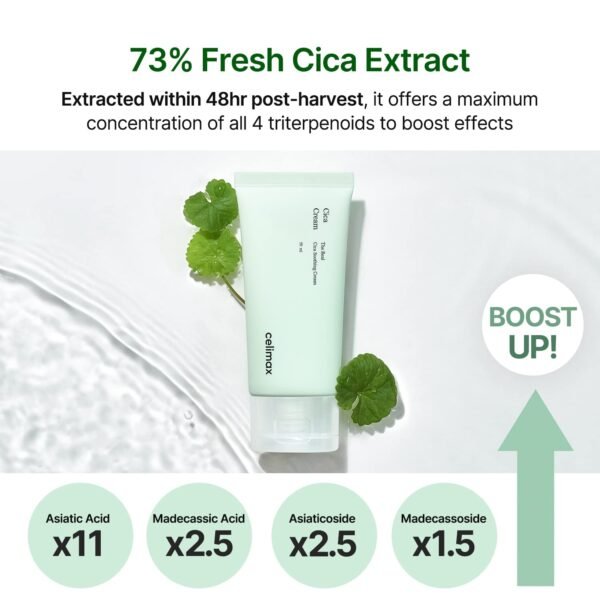 celimax The Real Cica Soothing Cream | with Fresh Cica Extract, Oil Free, Hydrating, Moisturizing, Calming, Dry Oily Combination Sensitive Skin, Korean Skincare, Lightweight Gel Cream, 50ml